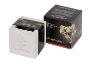 Подарочный набор «Вырасти Бонсай дома. Жасмин»