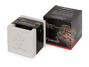 Подарочный набор «Вырасти Бонсай дома. Гранат»