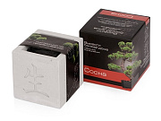 Подарочный набор «Вырасти Бонсай дома. Сосна»