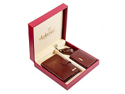 Набор: обложка для автодокументов, визитница, брелок